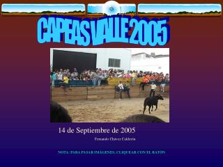 CAPEAS VALLE 2005