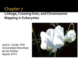 Chapter 7 Linkage, Crossing Over, and Chromosome Mapping in Eukaryotes