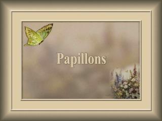 Papillons