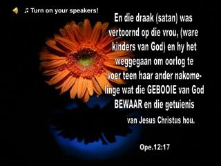 En die draak (satan) was vertoornd op die vrou, (ware kinders van God) en hy het