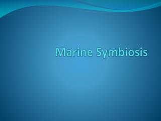 Marine Symbiosis