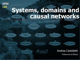 Systems, domains and causal networks