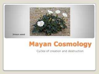 Mayan Cosmology