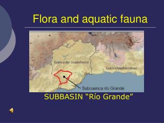 Flora and aquatic fauna