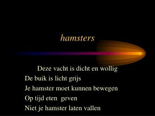 hamsters