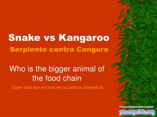 Snake vs Kangaroo