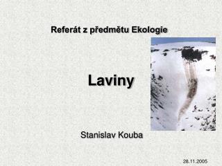 Laviny