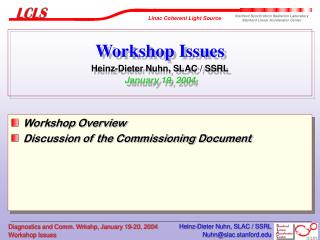 Workshop Issues Heinz-Dieter Nuhn, SLAC / SSRL January 19, 2004