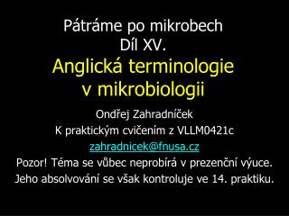 Pátráme po mikrobech Díl XV. Anglická terminologie v mikrobiologii