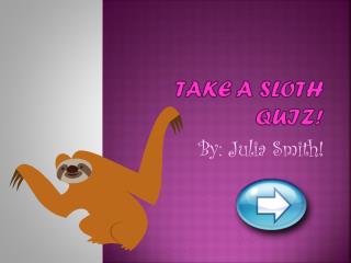 Take A Sloth Quiz!