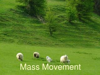 Mass Movement