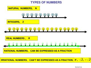 Number lines