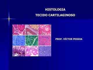 HISTOLOGIA TECIDO CARTILAGINOSO