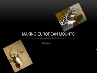 Making European Mounts