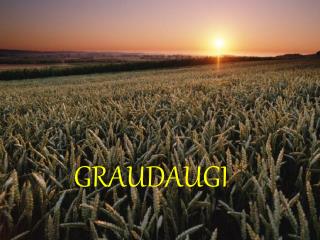 GRAUDAUGI