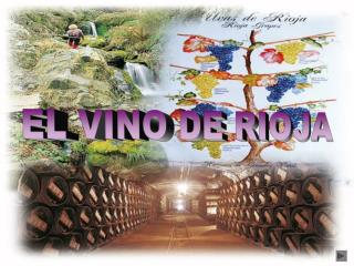 EL VINO DE RIOJA