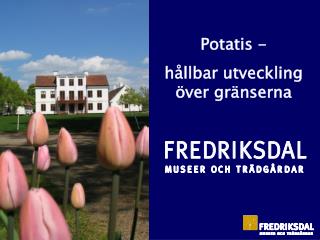 Potatis - hållbar utveckling över gränserna