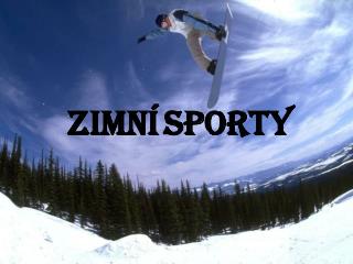 Zimní sporty