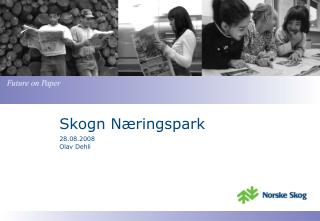 Skogn Næringspark