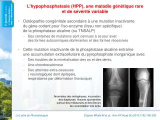 L’ hypophosphatasie (HPP), une maladie génétique rare et de sévérité variable