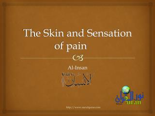 The Skin and Sensation of pain