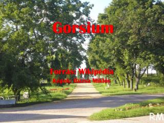 Gorsium