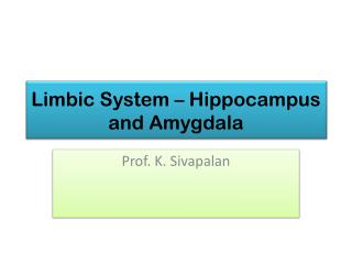 Limbic System – Hippocampus and Amygdala