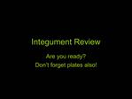 Integument Review