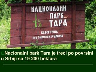 Nacionalni park Tara je treci po povrsini u Srbiji sa 19 200 hektara