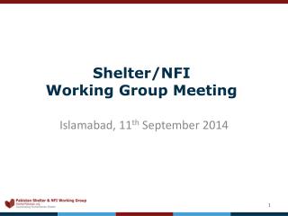 Shelter/NFI Working Group Meeting