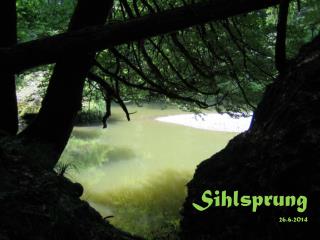 Sihlsprung 26.6.2014