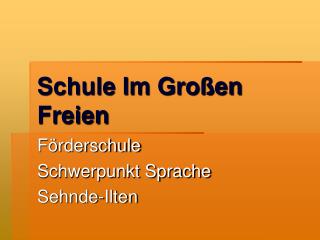 Schule Im Großen Freien