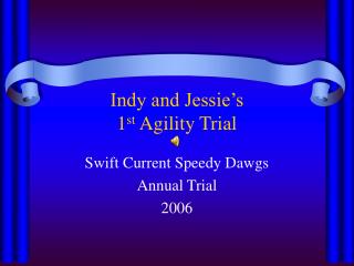 Indy and Jessie’s 1 st Agility Trial