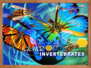 Invertebrates