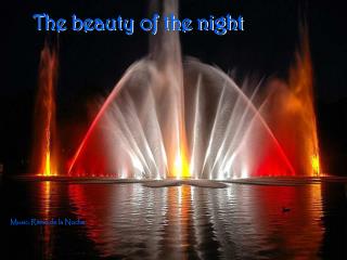 The beauty of the night