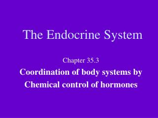 The Endocrine System