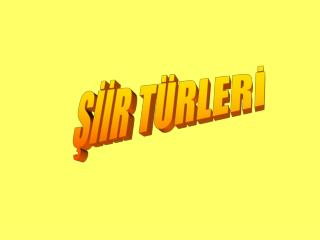 ŞİİR TÜRLERİ