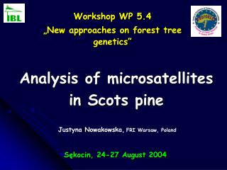 Analysis of microsatellites in Scots pine
