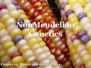 NonMendelian Genetics