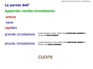 Apparato cardio-circolatorio: