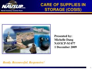 CARE OF SUPPLIES IN STORAGE (COSIS)