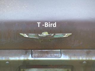 T -Bird