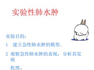实验性肺水肿