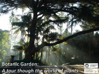 Botanic Garden: A tour though the world of plants