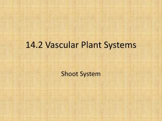 14.2 Vascular Plant Systems