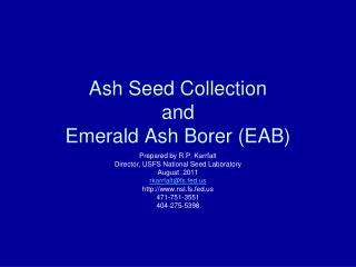 Ash Seed Collection and Emerald Ash Borer (EAB)