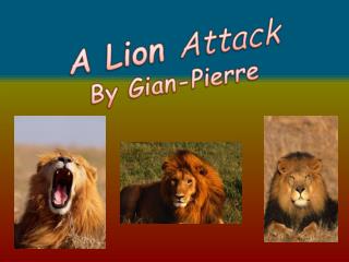 A Lion Attack By Gian -Pierre