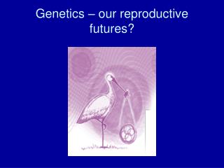 Genetics – our reproductive futures?