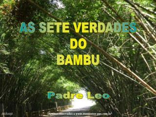 AS SETE VERDADES DO BAMBU