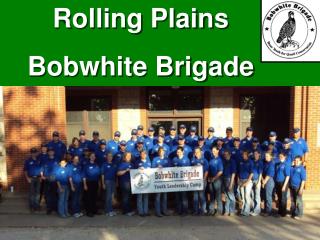 Rolling Plains Bobwhite Brigade